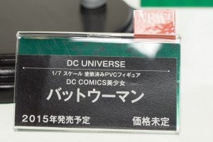 DSC07560