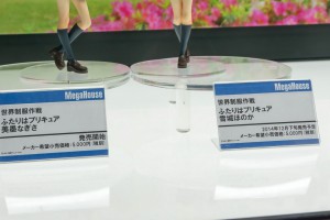 DSC05546